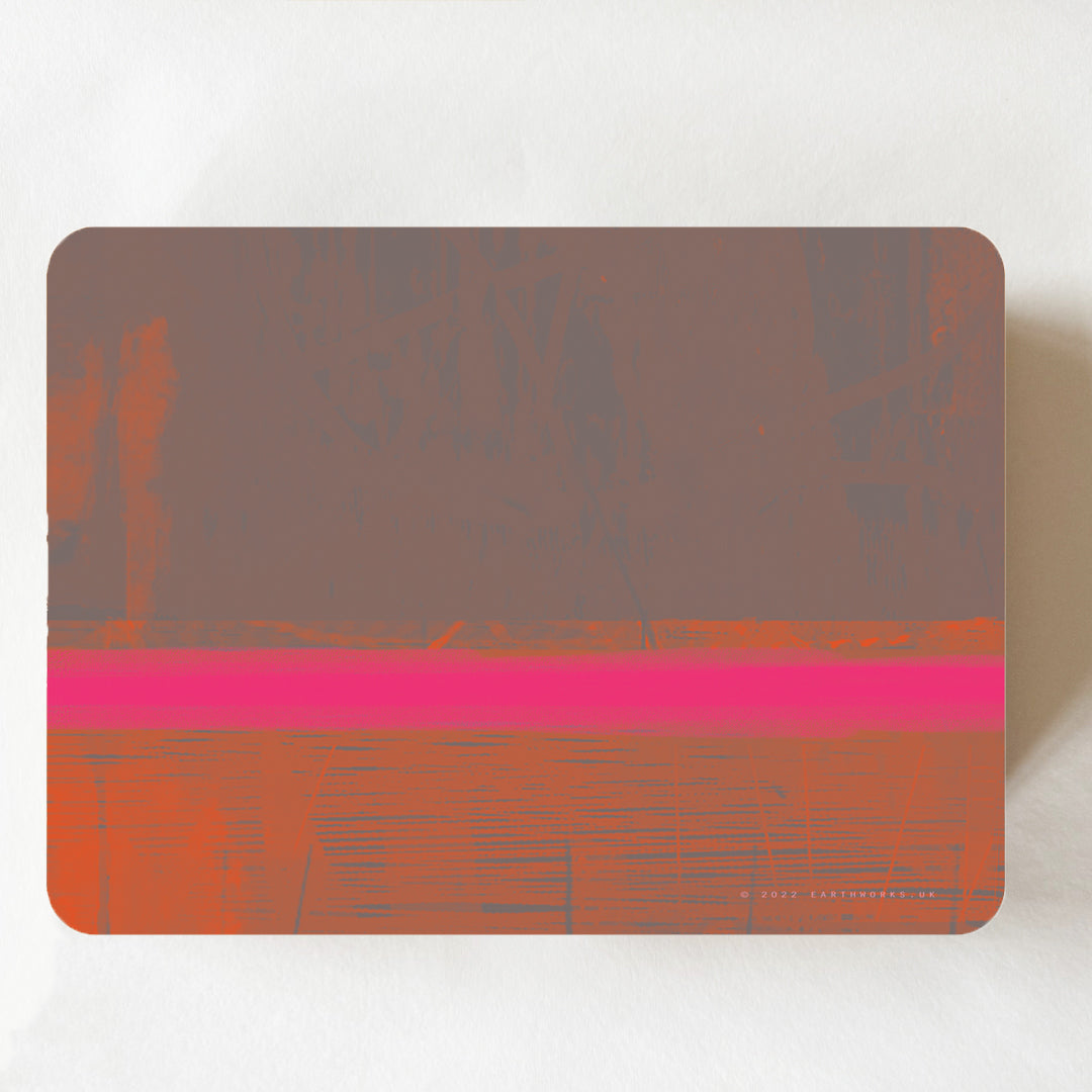 set of 2 - PLACEMATS POOL PINK - E A R T H W O R K S