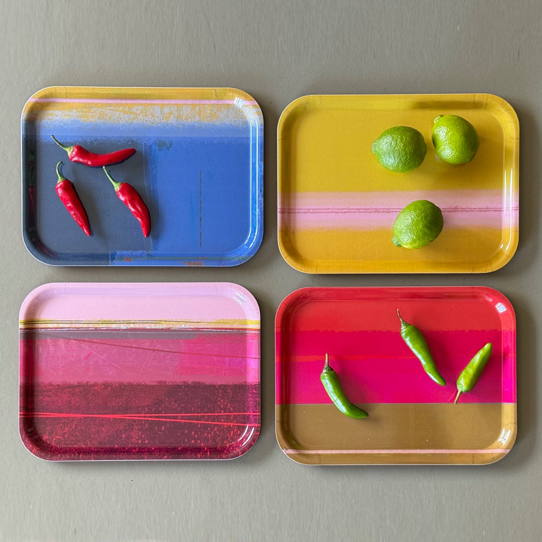 Set of 4 Assorted SMALL TRAYS - E A R T H W O R K S